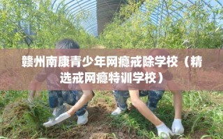 赣州南康青少年网瘾戒除学校（精选戒网瘾特训学校）