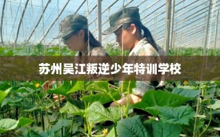 苏州吴江叛逆少年特训学校