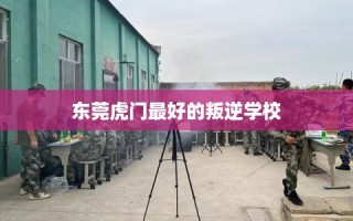 东莞虎门最好的叛逆学校