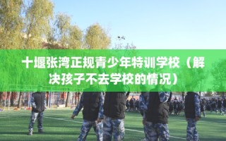 十堰张湾正规青少年特训学校（解决孩子不去学校的情况）