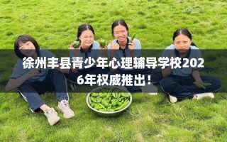 徐州丰县青少年心理辅导学校2026年权威推出！
