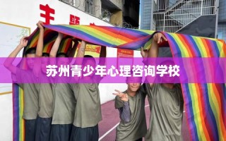 苏州青少年心理咨询学校