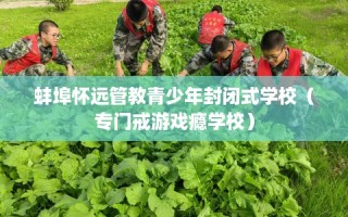 蚌埠怀远管教青少年封闭式学校（专门戒游戏瘾学校）