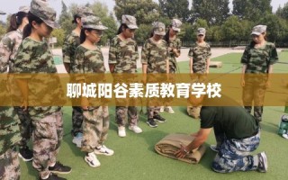聊城阳谷素质教育学校