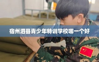 宿州泗县青少年特训学校哪一个好