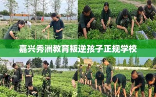 嘉兴秀洲教育叛逆孩子正规学校