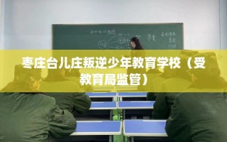 枣庄台儿庄叛逆少年教育学校（受教育局监管）