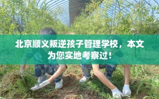 北京顺义叛逆孩子管理学校，本文为您实地考察过！