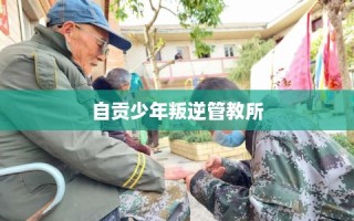 自贡少年叛逆管教所