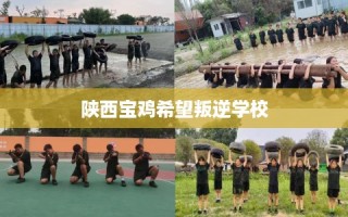 陕西宝鸡希望叛逆学校