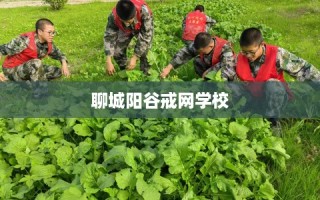 聊城阳谷戒网学校