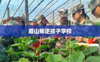 眉山叛逆孩子学校