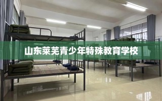山东莱芜青少年特殊教育学校