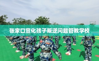 张家口宣化孩子叛逆问题管教学校