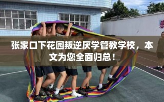 张家口下花园叛逆厌学管教学校，本文为您全面归总！