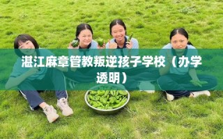 湛江麻章管教叛逆孩子学校（办学透明）