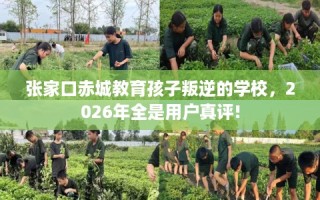 张家口赤城教育孩子叛逆的学校，2026年全是用户真评!
