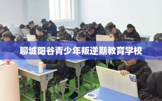 聊城阳谷青少年叛逆期教育学校