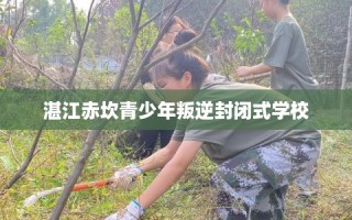 湛江赤坎青少年叛逆封闭式学校