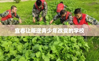 宜春让叛逆青少年改变的学校