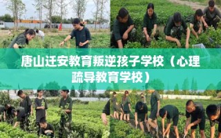 唐山迁安教育叛逆孩子学校（心理疏导教育学校）