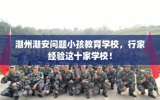 潮州潮安问题小孩教育学校，行家经验这十家学校！