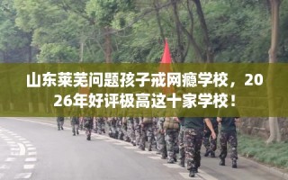 山东莱芜问题孩子戒网瘾学校，2026年好评极高这十家学校！
