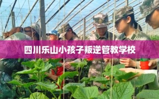 四川乐山小孩子叛逆管教学校