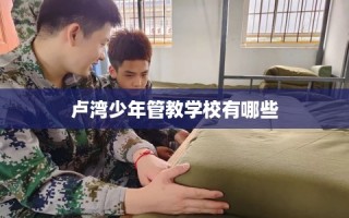 卢湾少年管教学校有哪些