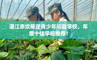 湛江赤坎叛逆青少年问题学校，年度十佳学校推荐！