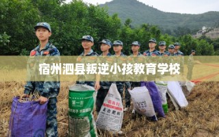 宿州泗县叛逆小孩教育学校