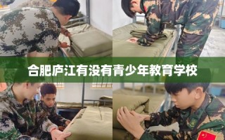 合肥庐江有没有青少年教育学校