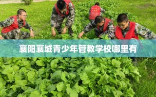 襄阳襄城青少年管教学校哪里有