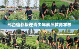 邢台信都叛逆青少年素质教育学校