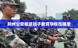 荆州公安叛逆孩子教育学校在哪里
