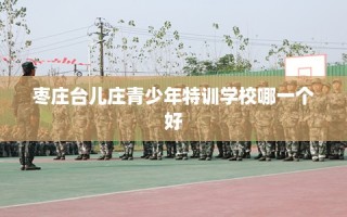 枣庄台儿庄青少年特训学校哪一个好