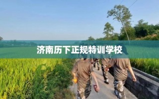济南历下正规特训学校