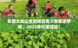 东莞大岭山全封闭式青少年叛逆学校，2025年行家经验！
