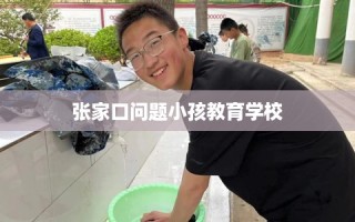 张家口问题小孩教育学校