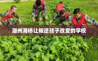 潮州湘桥让叛逆孩子改变的学校