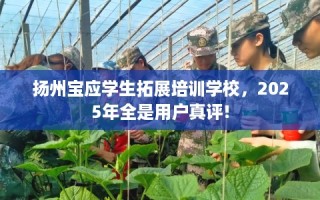 扬州宝应学生拓展培训学校，2025年全是用户真评!