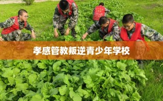 孝感管教叛逆青少年学校