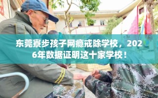 东莞寮步孩子网瘾戒除学校，2026年数据证明这十家学校！