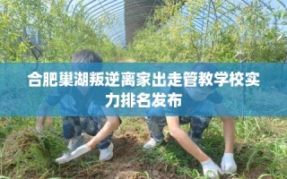 合肥巢湖叛逆离家出走管教学校实力排名发布