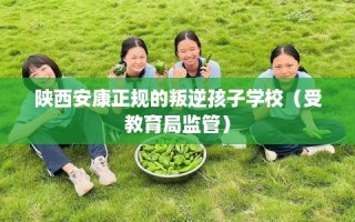 陕西安康正规的叛逆孩子学校（受教育局监管）