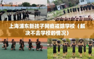 上海浦东新孩子网瘾戒除学校（解决不去学校的情况）
