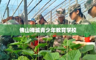 佛山禅城青少年教育学校