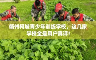 衢州柯城青少年训练学校，这几家学校全是用户真评!