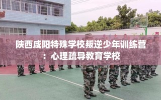 陕西咸阳特殊学校叛逆少年训练营：心理疏导教育学校