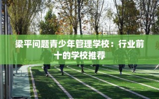 梁平问题青少年管理学校：行业前十的学校推荐
